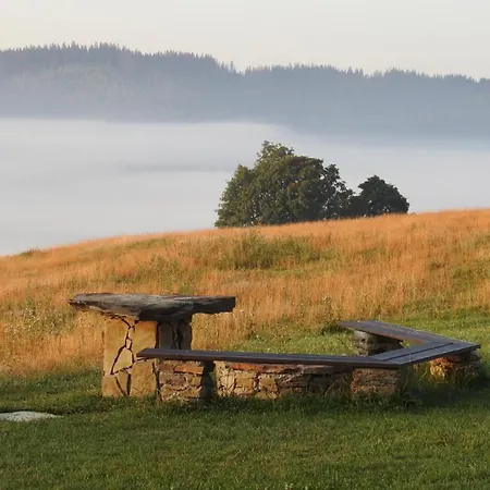 Drevenice živčáková * Predmerska