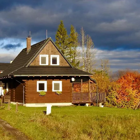 Drevenice živčáková * Predmerska